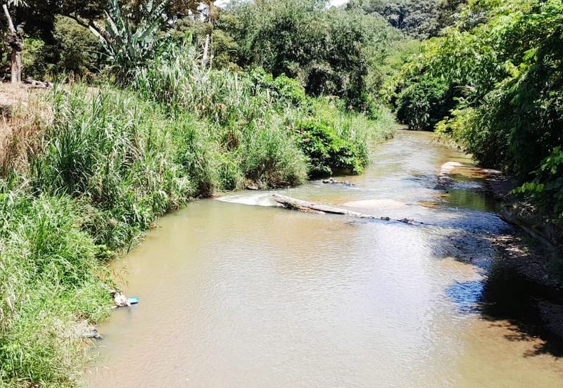 100 acres agricultural land with single title