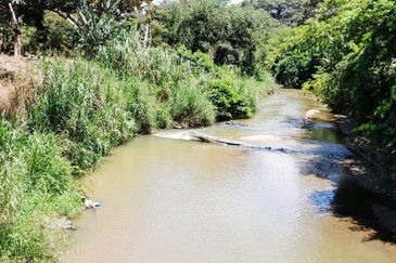 100 acres agricultural land with single title