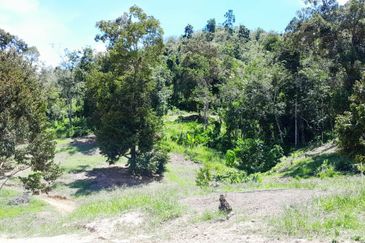 100 acres agricultural land with single title