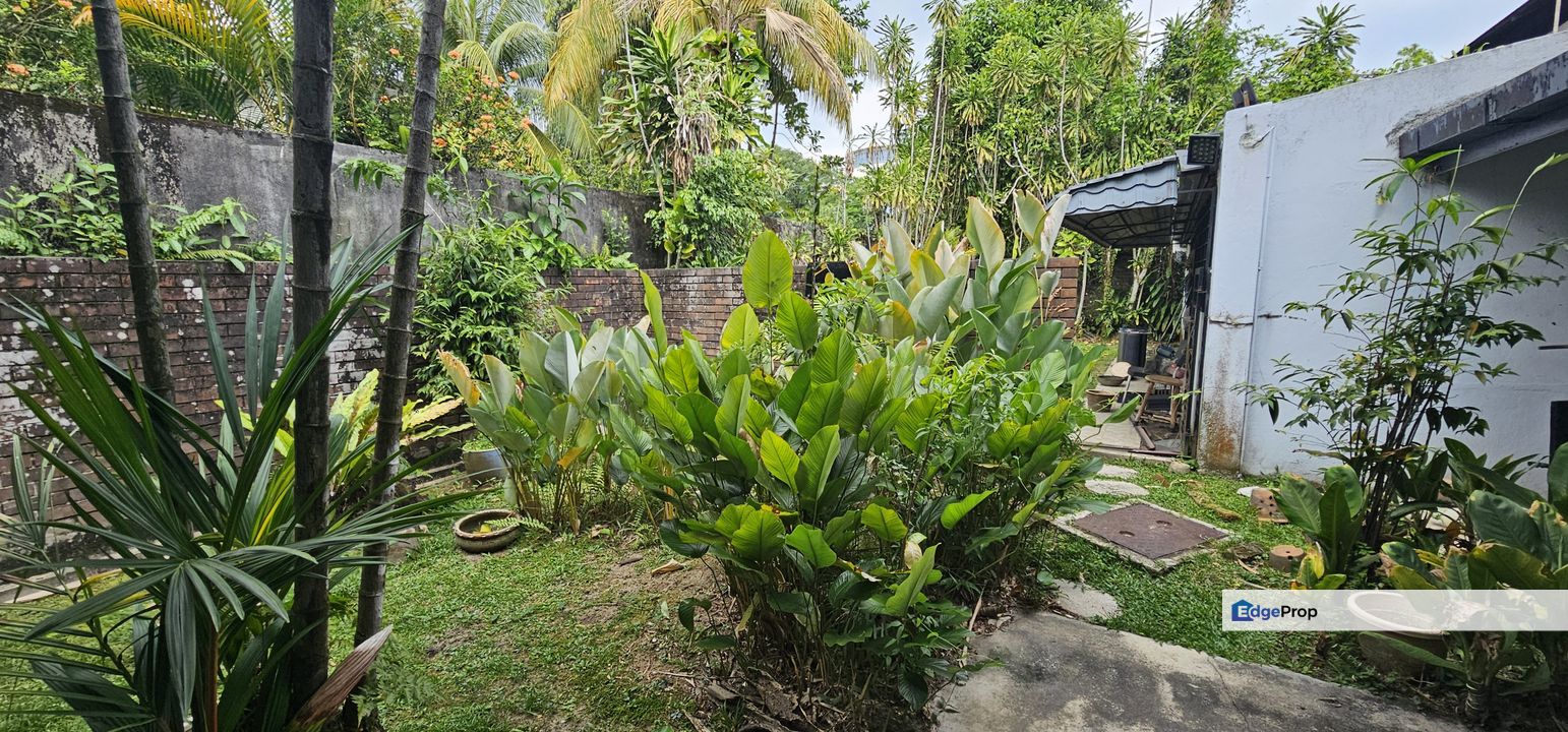 Uniquely designed bglow, surrounded by lush greenery, Selangor, Petaling Jaya