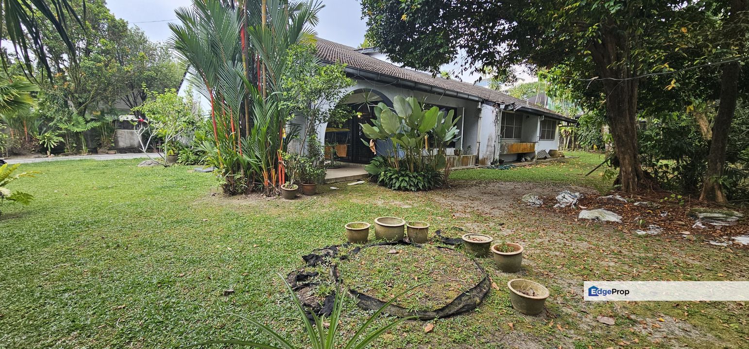 Uniquely designed bglow, surrounded by lush greenery, Selangor, Petaling Jaya