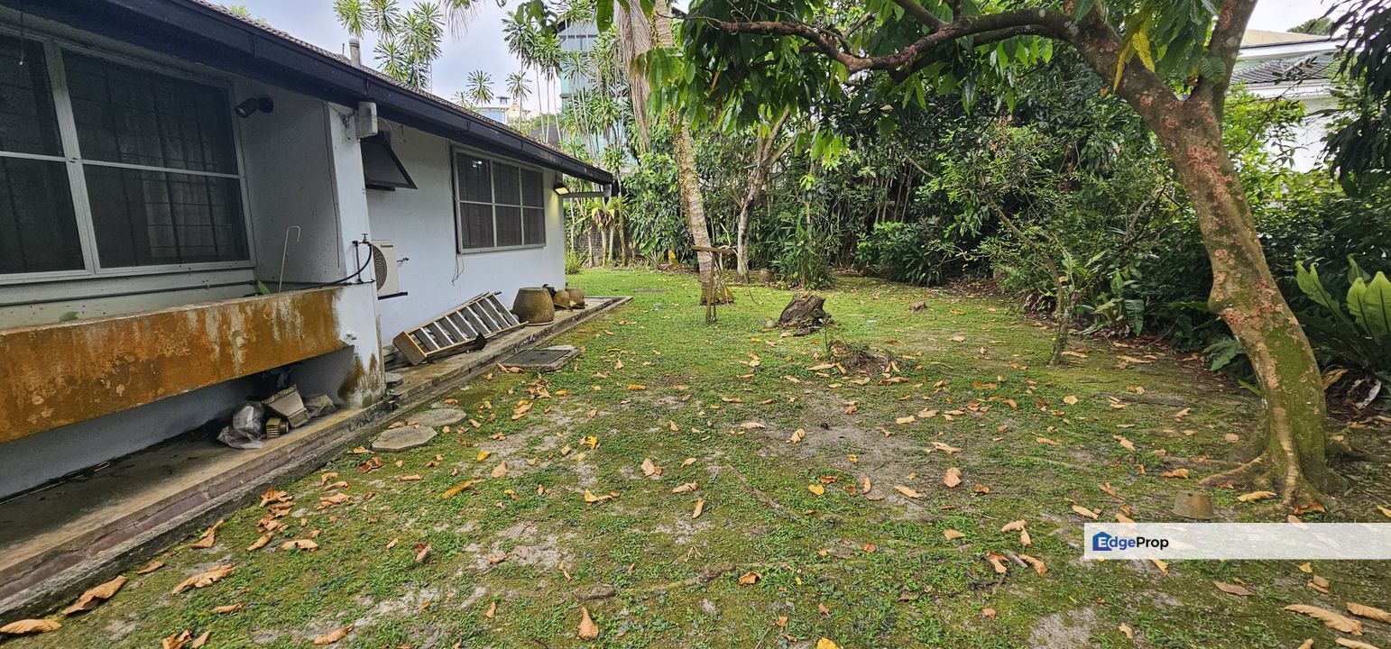 Uniquely designed bglow, surrounded by lush greenery, Selangor, Petaling Jaya