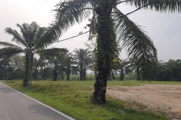 2.5 Miles Jalan Kapar