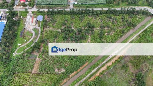 Sijangkang Agriculture Land Freehold 5.7 Acres Good Condition Best Buy, Selangor, Telok Panglima Garang