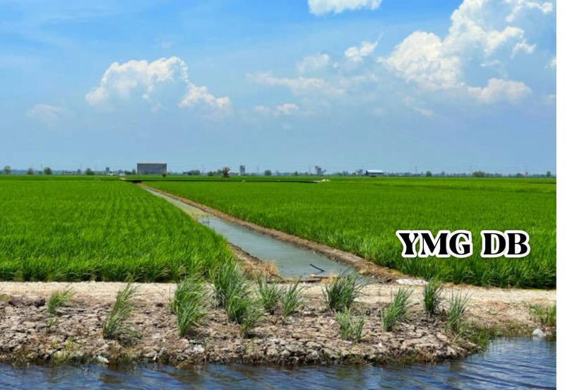 Sekinchan Business Centre