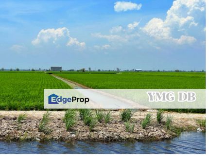 Sekinchan Agriculture Land 3 Acres Super Value Below Market Price, Selangor, Sekinchan