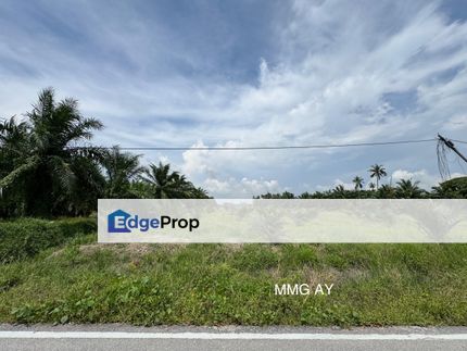 Kampung Perepat @ Kapar Agricultural Land 2.23 Acre Super Value, Selangor, Klang