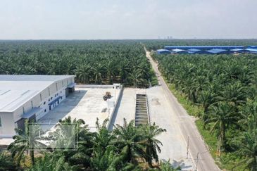 Telok Mengkuang Industrial