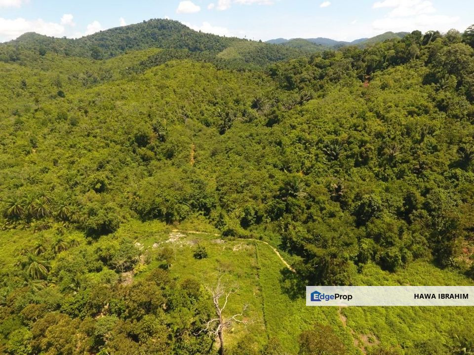 2.7 Ekar Tanah Pertanian di Ampang Tinggi Parit Kuala Pilah Negeri Sembilan, Negeri Sembilan, Kuala Pilah