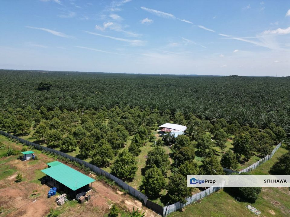3.9 Acres Kebun Durian Lancang Merlimau Melaka Freehold Non Bumi For Sale, Melaka, Merlimau
