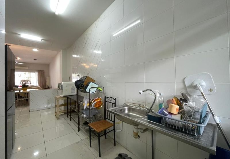 Siphonia @ Chemara Hills