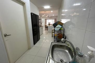 Siphonia @ Chemara Hills