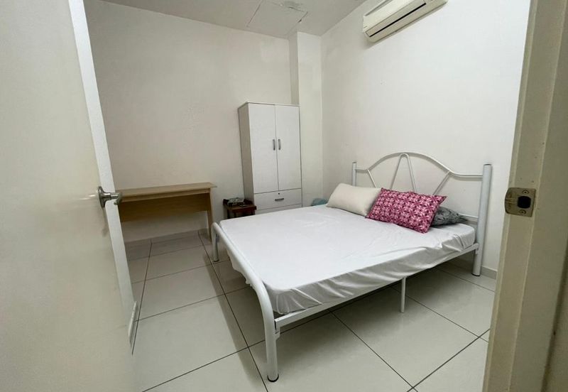 Siphonia @ Chemara Hills