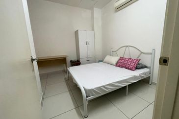 Siphonia @ Chemara Hills