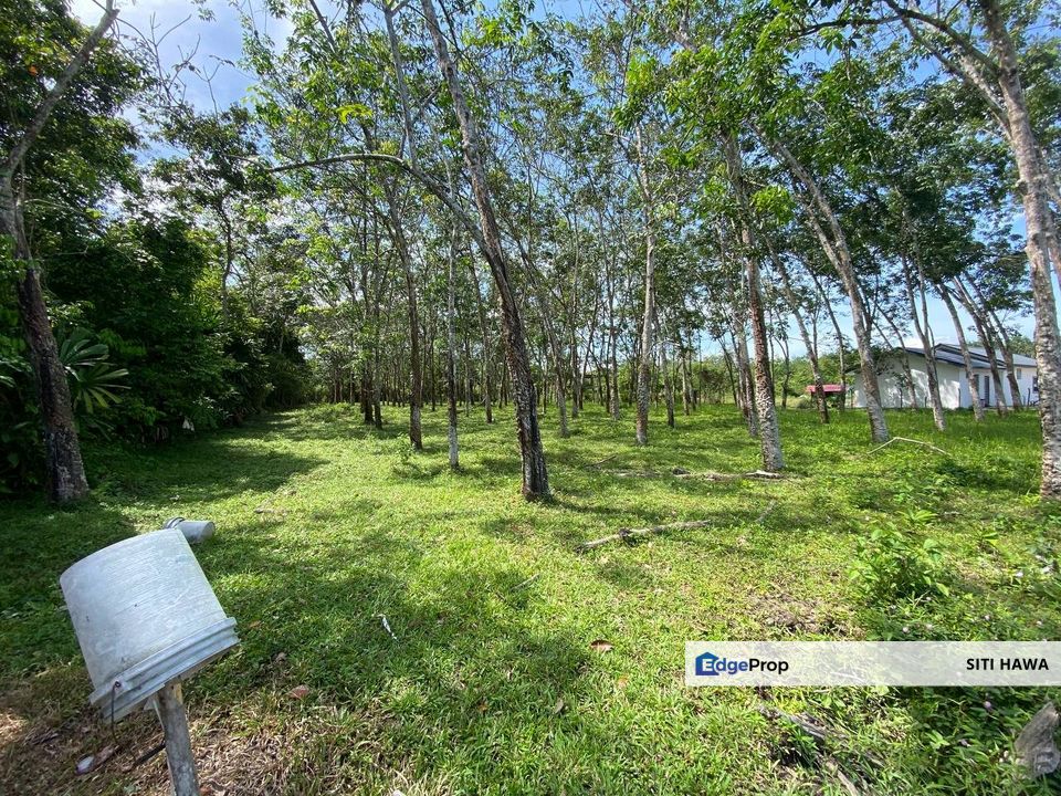 Jemapoh, Kuala Pilah Negeri Sembilan Agriculture Land Near Main Road 39,299 sqft For Sale, Negeri Sembilan, Kuala Pilah