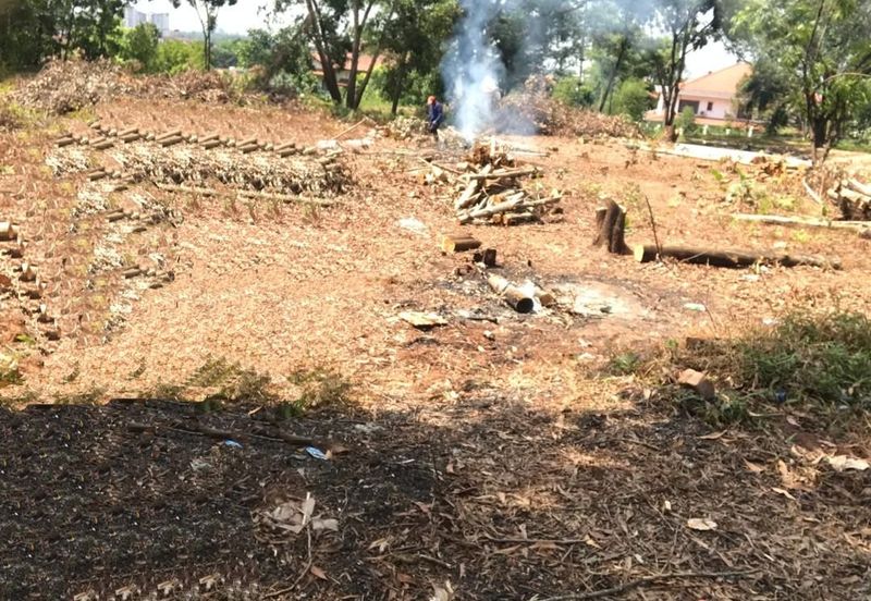 Seksyen 6, Kota Damansara