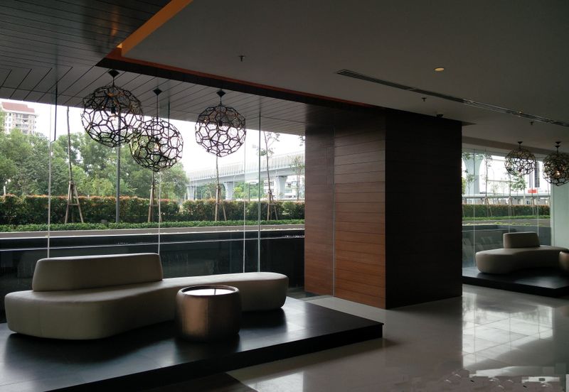 Arnica @ Tropicana Gardens