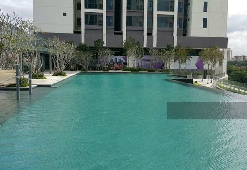 Arnica @ Tropicana Gardens