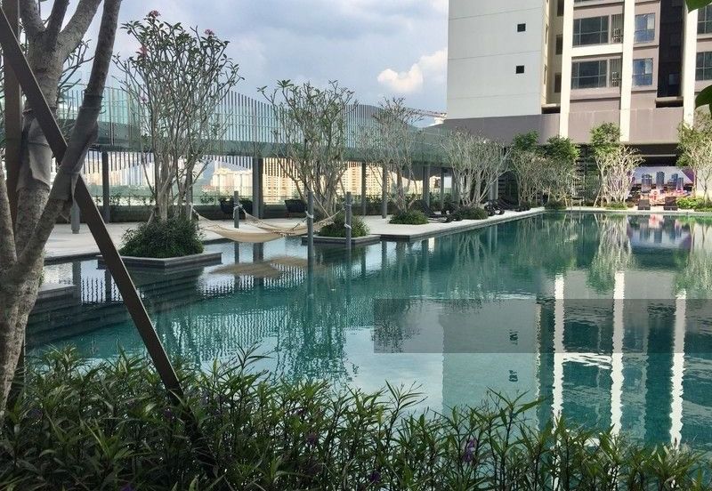 Arnica @ Tropicana Gardens