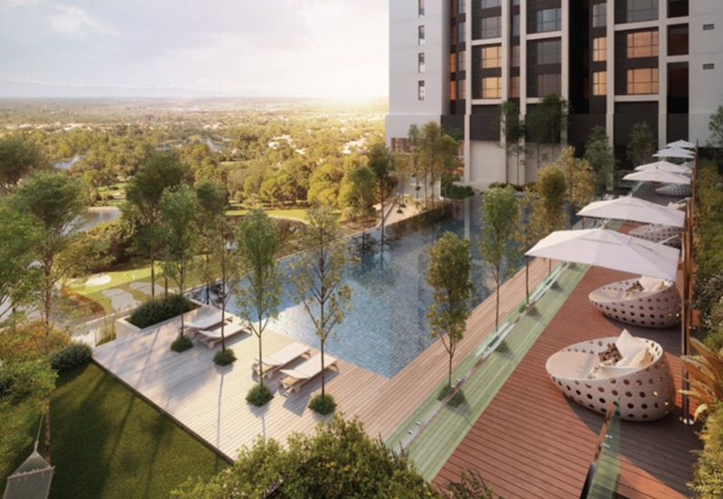 Arnica @ Tropicana Gardens