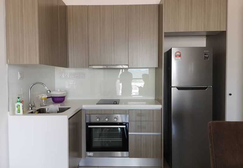 Arnica @ Tropicana Gardens