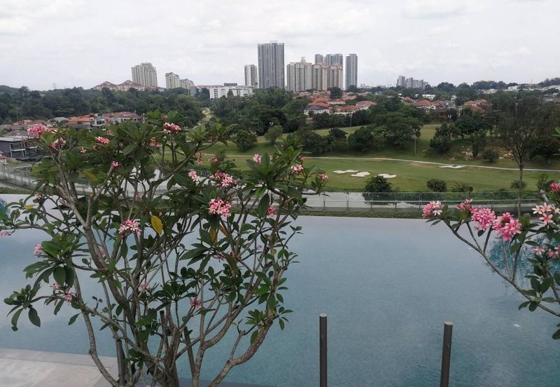 Arnica @ Tropicana Gardens