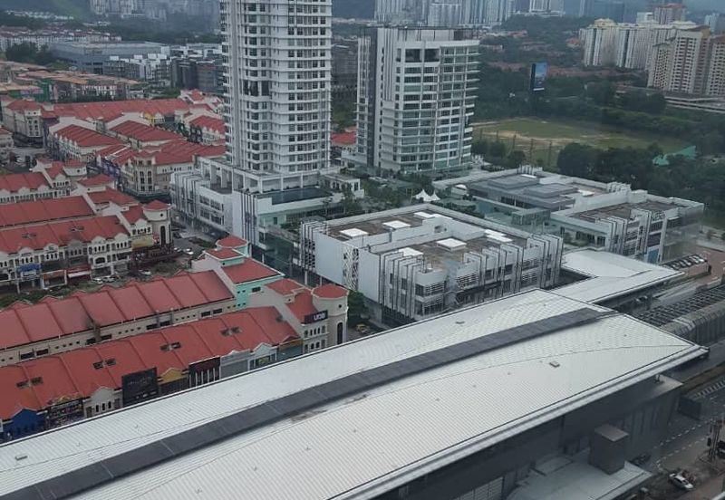 Arnica @ Tropicana Gardens