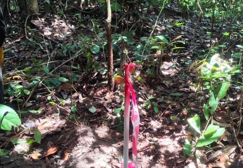 Bandar Baru Pasir Mas