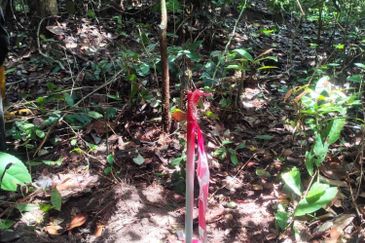 Bandar Baru Pasir Mas