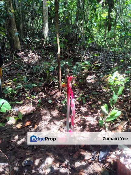 Tanah untuk dijual di Pasir Mas , Kelantan, Pasir Mas