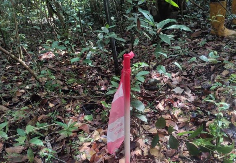 Bandar Baru Pasir Mas