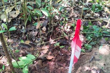 Bandar Baru Pasir Mas