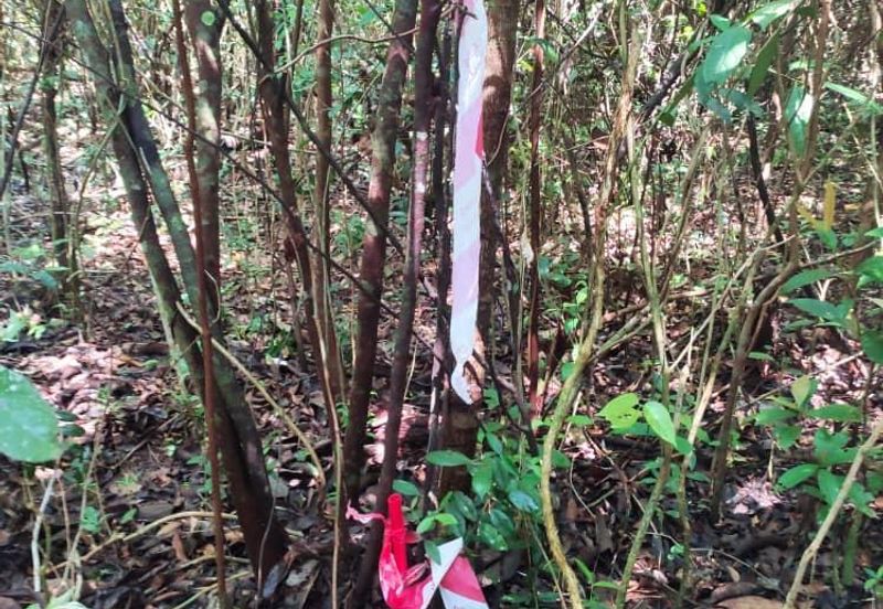 Bandar Baru Pasir Mas