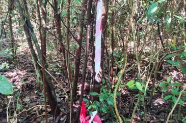 Bandar Baru Pasir Mas