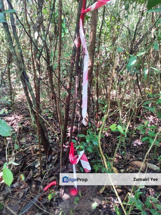 Tanah untuk dijual di Pasir Mas , Kelantan, Pasir Mas