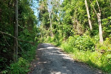 Tanah Pertanian untuk dijual di Tanah Merah Kelantan