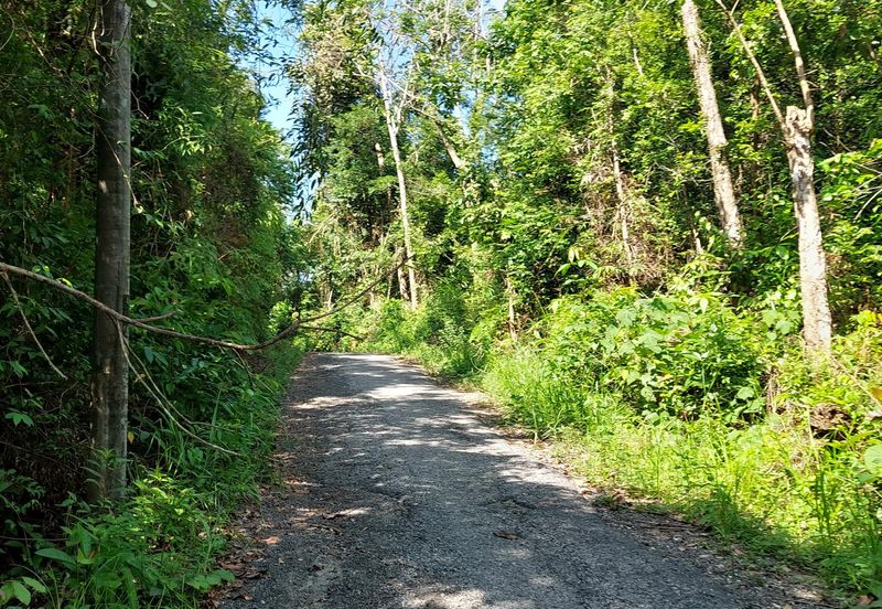 Tanah Pertanian untuk dijual di Tanah Merah Kelantan