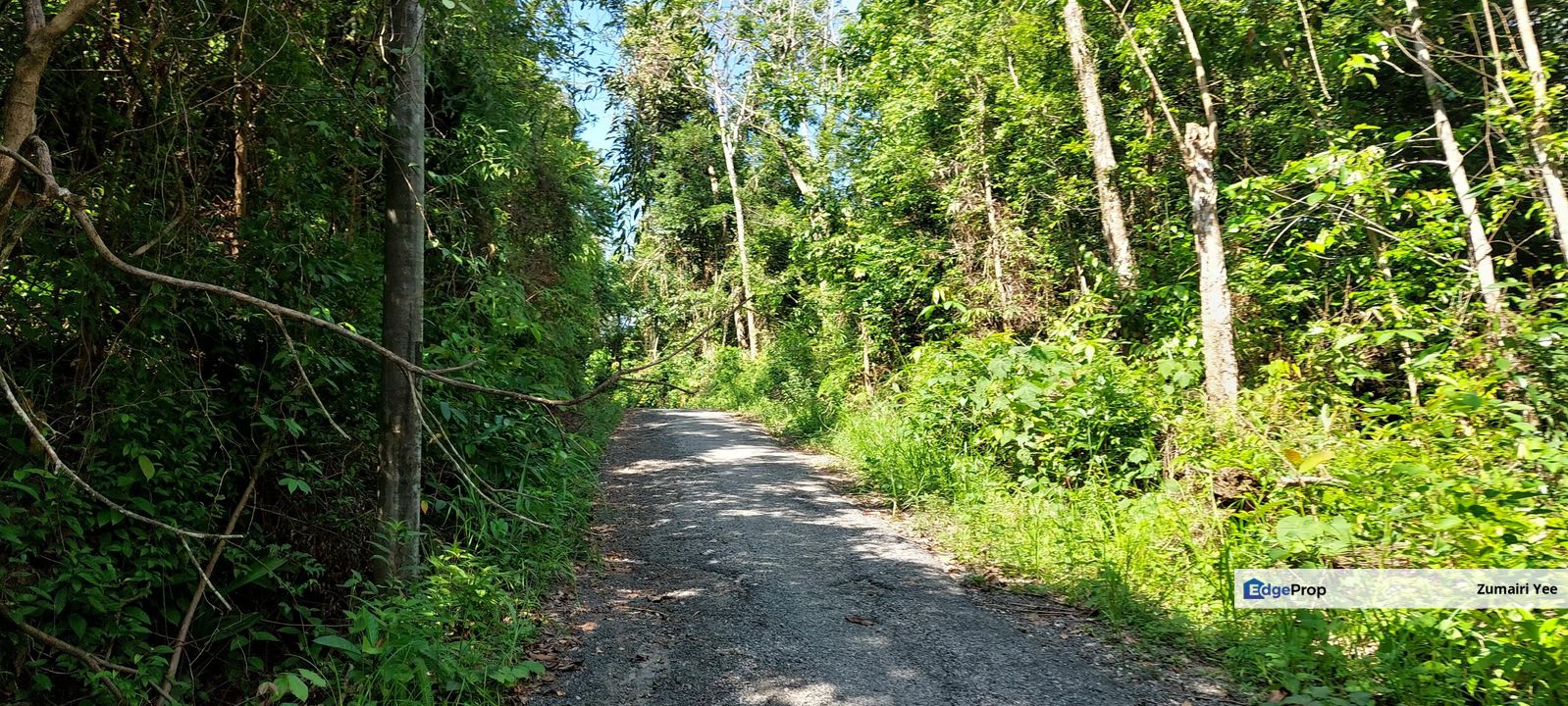 Tanah Pertanian untuk dijual di Tanah Merah Kelantan, Kelantan, Pasir Mas