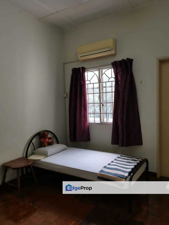 Anggerik Liparis Kota Kemuning Shah Alam, Selangor, Kota Kemuning