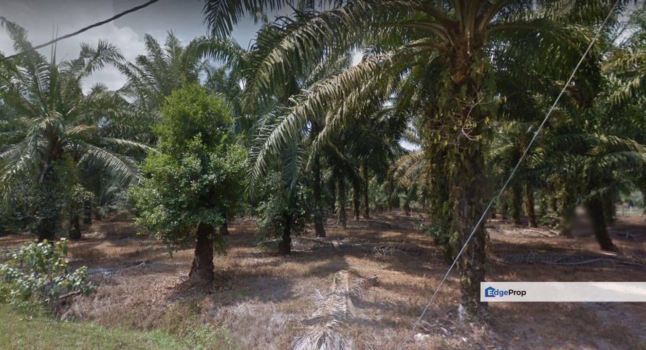 Sungai Pelek Sepang, Selangor, Sepang