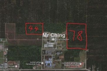 Freehold palm oil Banting Development Land Next Polytechnic