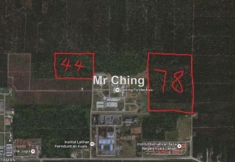 Freehold palm oil Banting Development Land Next Polytechnic