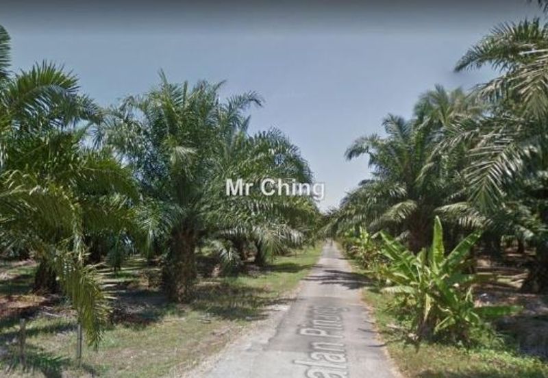 Freehold palm oil Banting Development Land Next Polytechnic