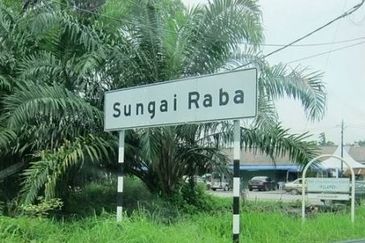 Freehold palm oil Banting Development Land Next Polytechnic