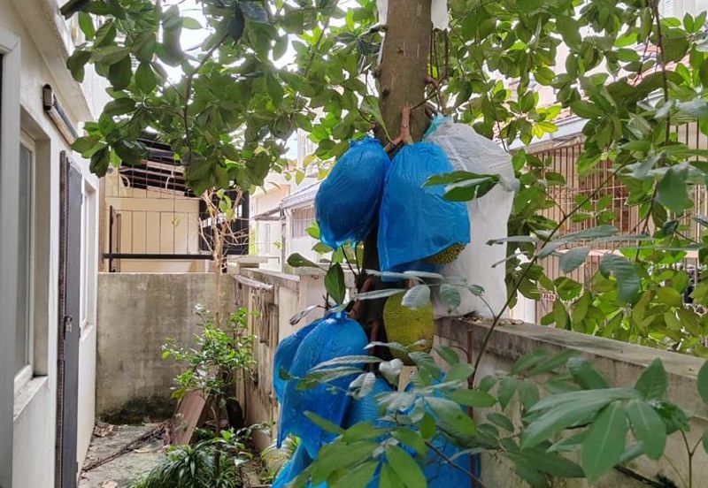 32x75 Sunway Spk damansara renovated 2sty endlot