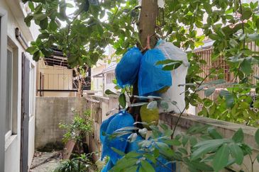 32x75 Sunway Spk damansara renovated 2sty endlot