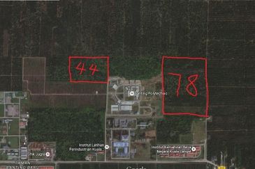 Banting Development Land 78Acres Freehold Next Polytechnic