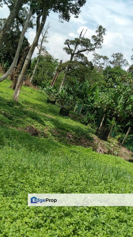 Semenyih Broga Agriculture Freehold Land , Selangor, Semenyih