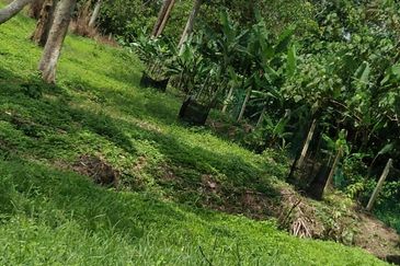 Beranang Industrial Park