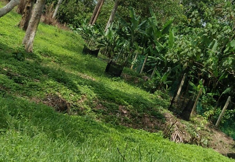 Beranang Industrial Park